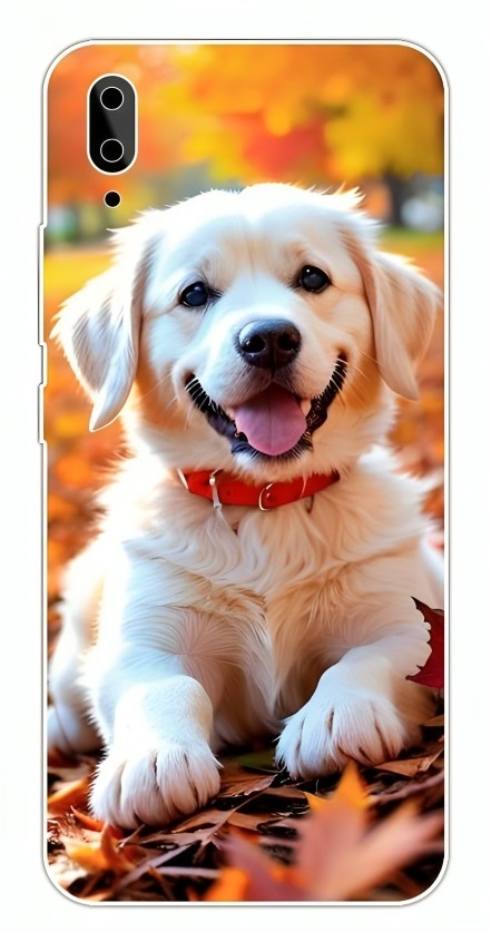 Customized Mobile Back Wrap - Image 73